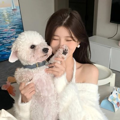 狐狸的故事